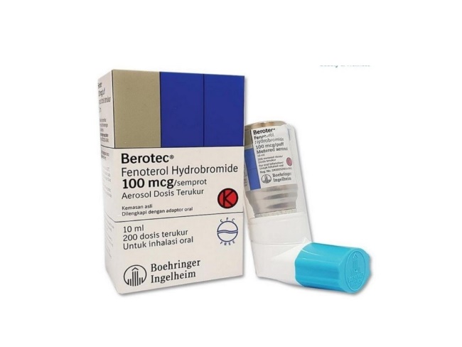 BEROTEC 100 MCG
